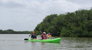 Kayak Margarita Laguna De La Restinga