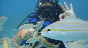 Submarinismo Los Frailes