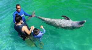 Nado Con Delfines VIP