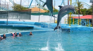 Festival Magico Waterland