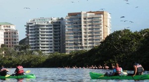Kayak Margarita Aviturismo Laguna Del Morro