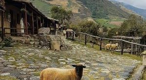 Tours Páramo Andino Clásico