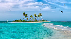 Full Day Plus Los Roques La Casa De Sol